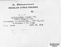 Image Associated With the Occurence